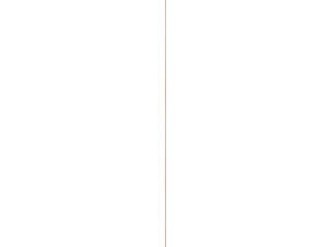 Geschaafde lat grenen 4x9 mm 270cm