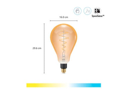 Giant ampoule LED poire filament E27 25W 1