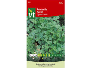 VT Gigante d'Italia peterselie