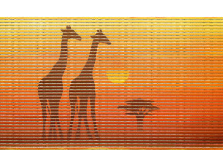 Finesse Girafes tapis de bain 80x50 cm 1