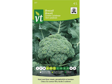 VT Groene Calabrese broccoli bio 1