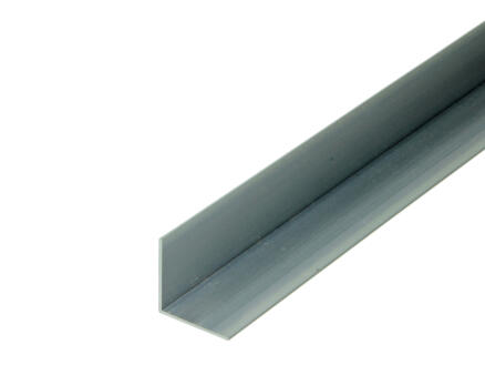 Arcansas Hoekprofiel 1m 25x25 mm naturel aluminium 1