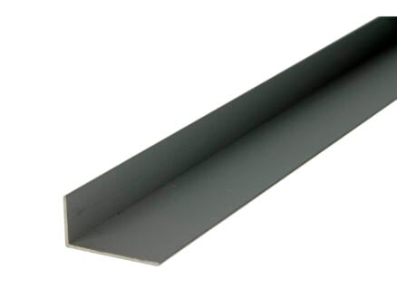 Arcansas Hoekprofiel 2m 30x15 mm geanodiseerd aluminium mat 1