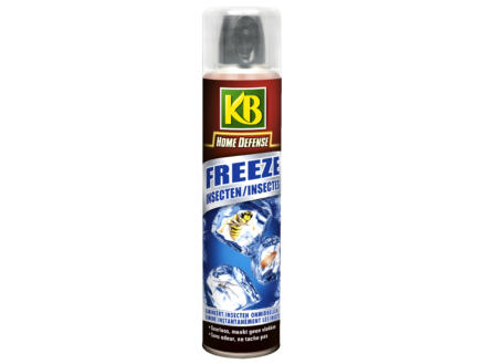 KB Home Defense Freeze Spray insecticide 300ml 1