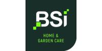 BSI