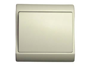 Profile Interrupteur unipolaire 10A encastrable blanc