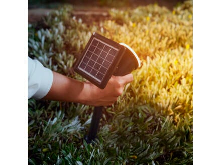 Philips Jivix LED Tuinpaal Op Spies Solar 1 4W Zwart Hubo philips-jivix-led-tuinpaal-op-spies-solar-1-4w-zwart-hubo