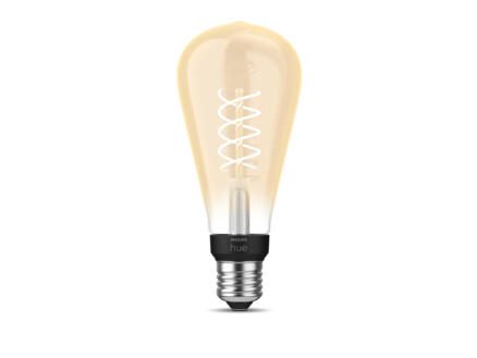 roem Geniet ei Philips Hue LED Edison-lamp filament donker glas E27 7W dimbaar | Hubo