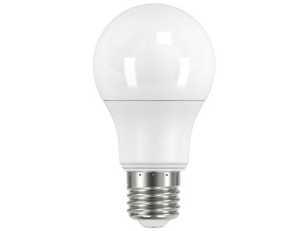 Prolight LED peerlamp E27 5,6W 1