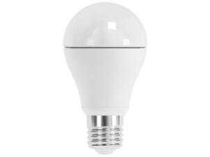 Prolight LED peerlamp mat E27 7W koud wit