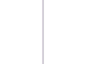 Latte rabotée 45x9,5 mm 270 cm pin blanc prépeint