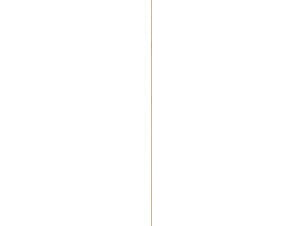 Latte rabotée bois dur 9x9 mm 270cm blanc