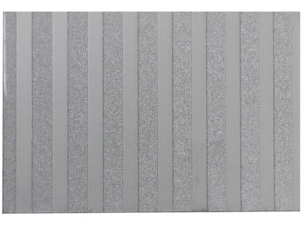 Scala Line plaat 100x200 cm 2,5mm polystyreen transparant 1