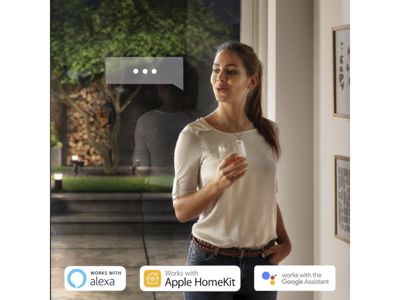 Philips Hue Lucca potelet extérieur E27 9W dimmable anthracite