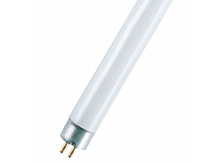 Osram Lumilux TL-lamp T5 8W 288mm koel wit 1
