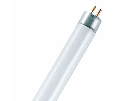 Osram Lumilux tube néon T5 13W 517mm blanc froid 1