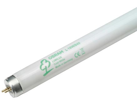 Osram Lumilux tube néon T8 18W 590mm blanc froid 1