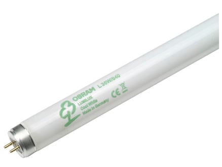 Osram Lumilux tube néon T8 36W 1200mm blanc froid 1