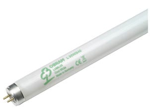 Osram Lumilux tube néon T8 36W 1200mm blanc froid
