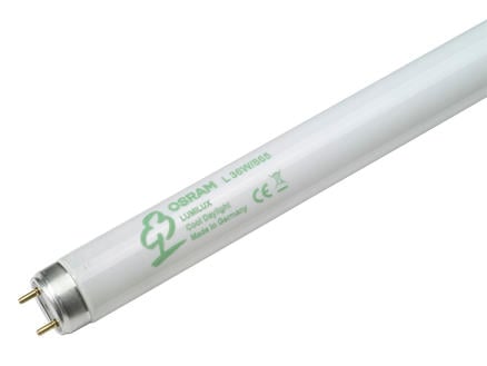 Osram Lumilux tube néon T8 36W 1200mm lumière du jour
