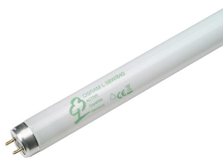 Osram Lumilux tube néon T8 58W 1500mm blanc froid 1