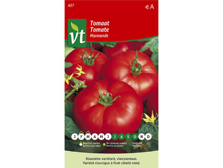 Marmande tomaat 1