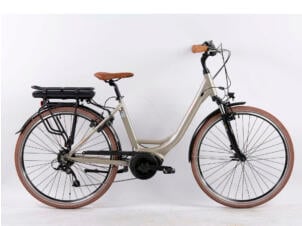 Eterra Meddio 9sp elektrische fiets middenmotor edelstaal
