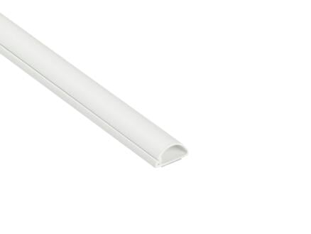 Micro+ Trunking goulotte demi-cercle 20x10 mm 2m blanc 1