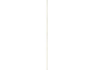 Moulure quart-de-rond 7x7 mm 270cm bois dur