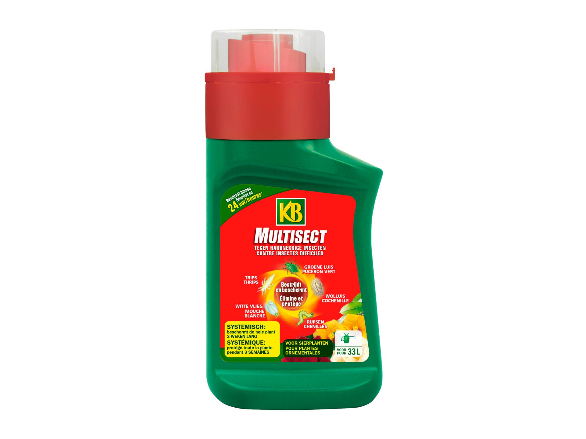 KB Multisect insecticide poudre plantes ornementales 200ml