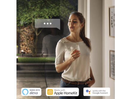 Philips Hue Nyro White and Color Ambiance borne extérieure LED E27 13,5W dimmable noir