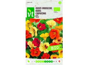 VT Oost-Indische kers laag bio