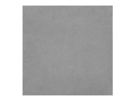 Oostende dalle de terrasse 60x60x4,1 cm 0,36m² gris clair 1