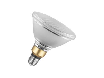 PAR38 ampoule LED réflecteur 13W E27 1