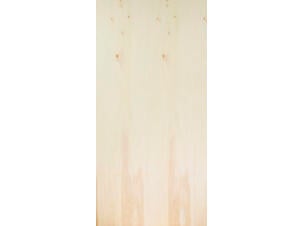Panneau 244x122 cm 12 mm