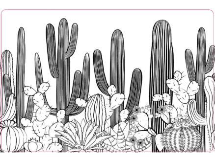 Placemat antislip 45x30 cm cactus forest 1
