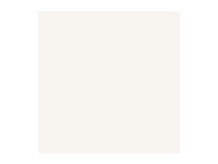 Plain carreau de sol 40x40 cm 1,44m² blanc 1