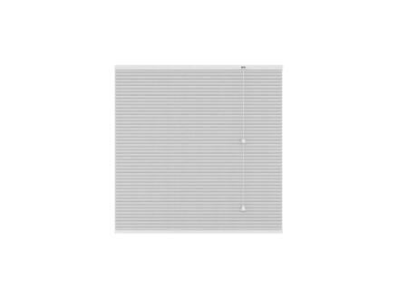 Decosol Plisségordijn lichtdoorlatend 80x180 cm wit 1