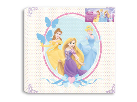 Disney Princess canvasdoek vierkant 30x30 cm wit/roze 1