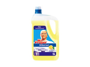 Mr Propre Professional nettoyant multi-usages 5l citron d'été