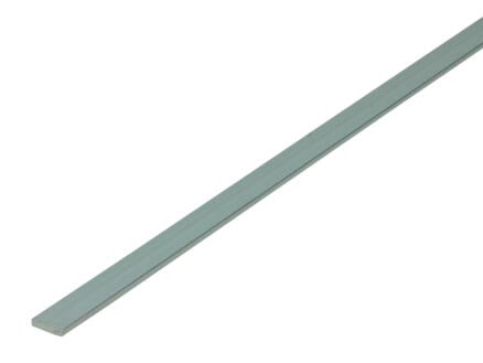 Arcansas Profil plat 1m 10mm 2mm aluminium naturel 1