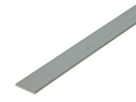 Arcansas Profil plat 1m 20mm 2mm aluminium naturel 1