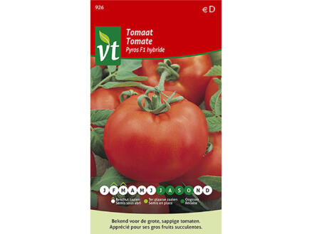 VT Pyros F1 Hybride tomaat 1