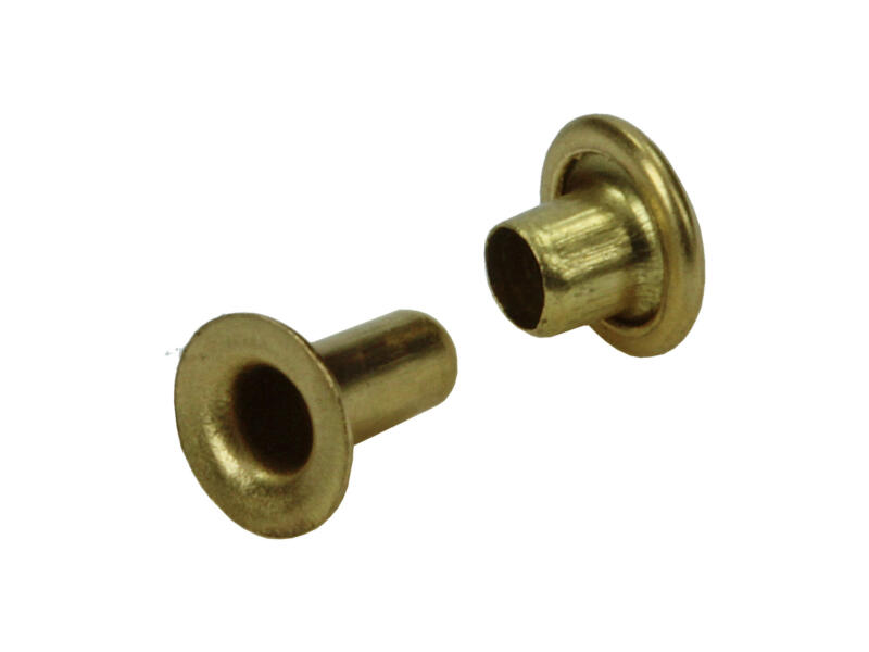 Messing Rivets Mack Rivet 2,7x6,5 mm messing 12 stuks | Hubo