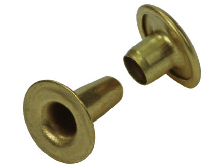 Messing Rivets Mack Rivet 4,2x10 mm messing 6 stuks | Hubo
