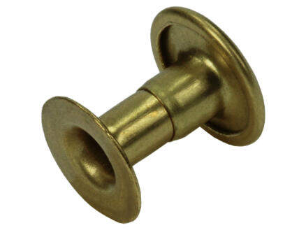 Messing Rivets Mack Rivet 4,2x10 mm messing 6 stuks | Hubo