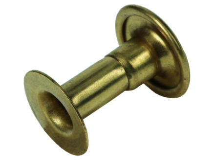Messing Rivets Mack Rivet 4,2x12 mm messing 5 stuks | Hubo