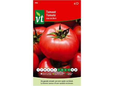 VT Rose de Bern tomaat 1