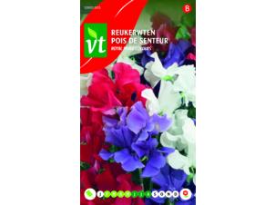 VT Royal Mix reukerwten multicolor