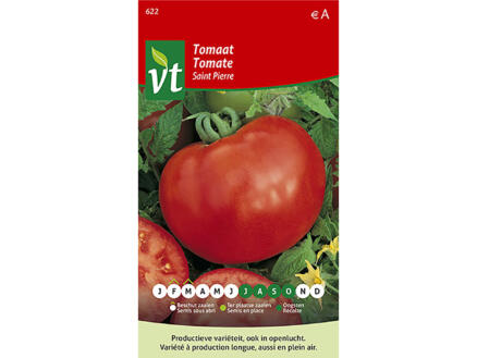 VT Saint Pierre tomaat 1